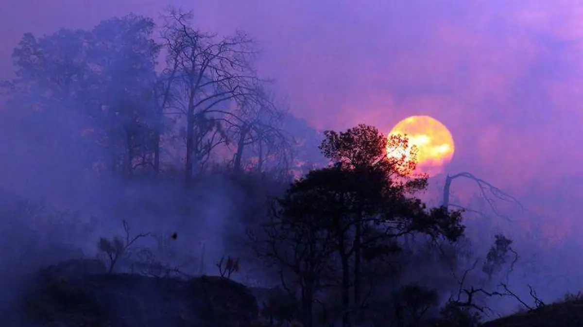 ¿Cuales son los efectos del cambio climático y sus consecuencias